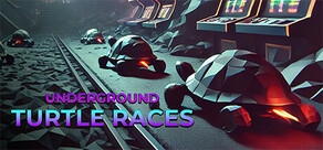 Underground Turtle Races