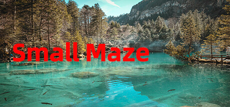 Small Maze Cover Image