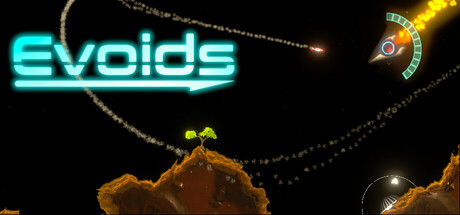 Evoids Cover Image