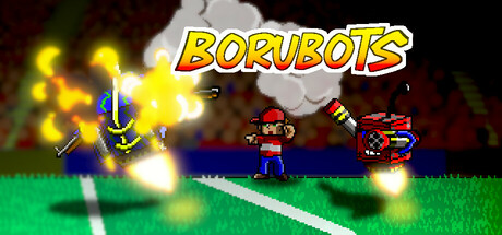 Borubots Cover Image