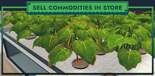 图片[9]_水培农场&商店模拟器｜Hydroponics Farm and Store Simulator｜官方中文｜2.44G｜免安装_果漫社区