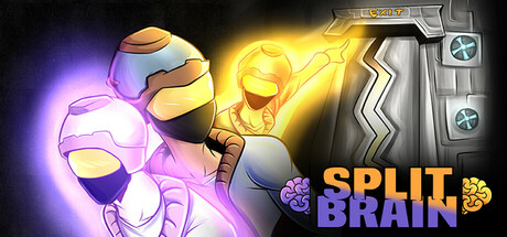 Split Brain Cover Image