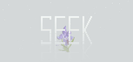 Seek Cover Image