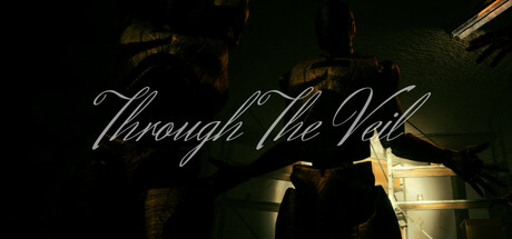 Through The Veil Cover Image