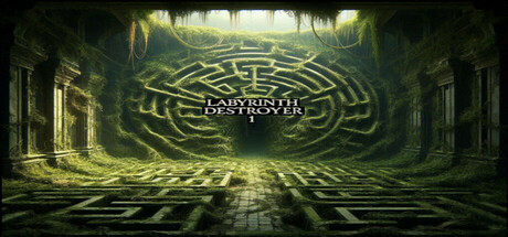 Labyrinth Destroyer 1 Cover Image