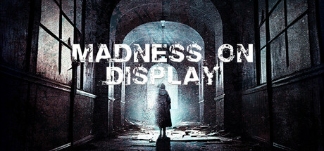 Madness on Display [steam key] 