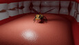 Screenshot #6