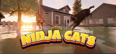 Ninja Cats Cover Image