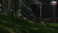 Screenshot #5