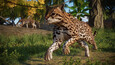 Planet Zoo: Americas Animal Pack UI shots 7