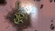 Notrium Screen Pics 2