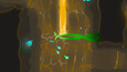 Screenshot #4