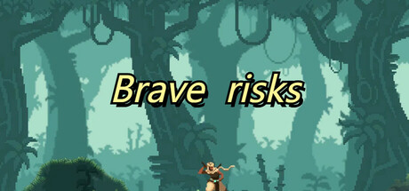 Brave  risks Cover Image