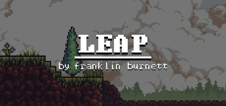 Leap by Franklin Burnett Cover Image