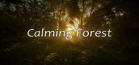 Calming Forest Cover Image