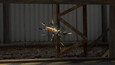 Screenshot #2