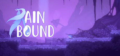 Rainbound Cover Image