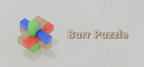 Burr Puzzle Cover Image