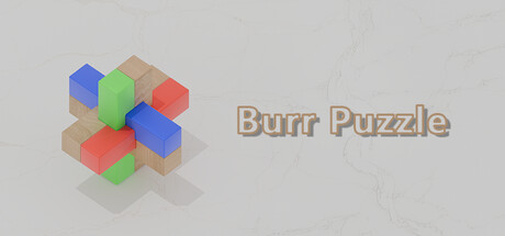 Burr Puzzle
