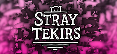 Stray Tekirs Cover Image