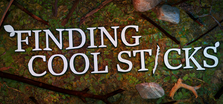 Finding Cool Sticks Cover Image