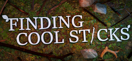 Finding Cool Sticks