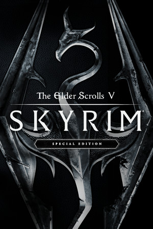 Cover for The Elder Scrolls V: Skyrim Special Edition