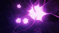 GE Neuro Pictures 5