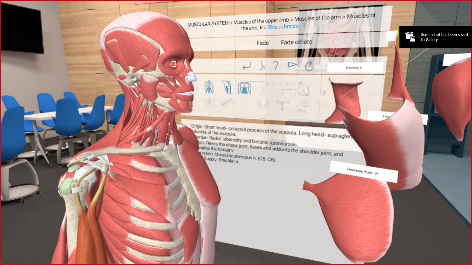 3D Organon VR Anatomy 2018 SteamDB