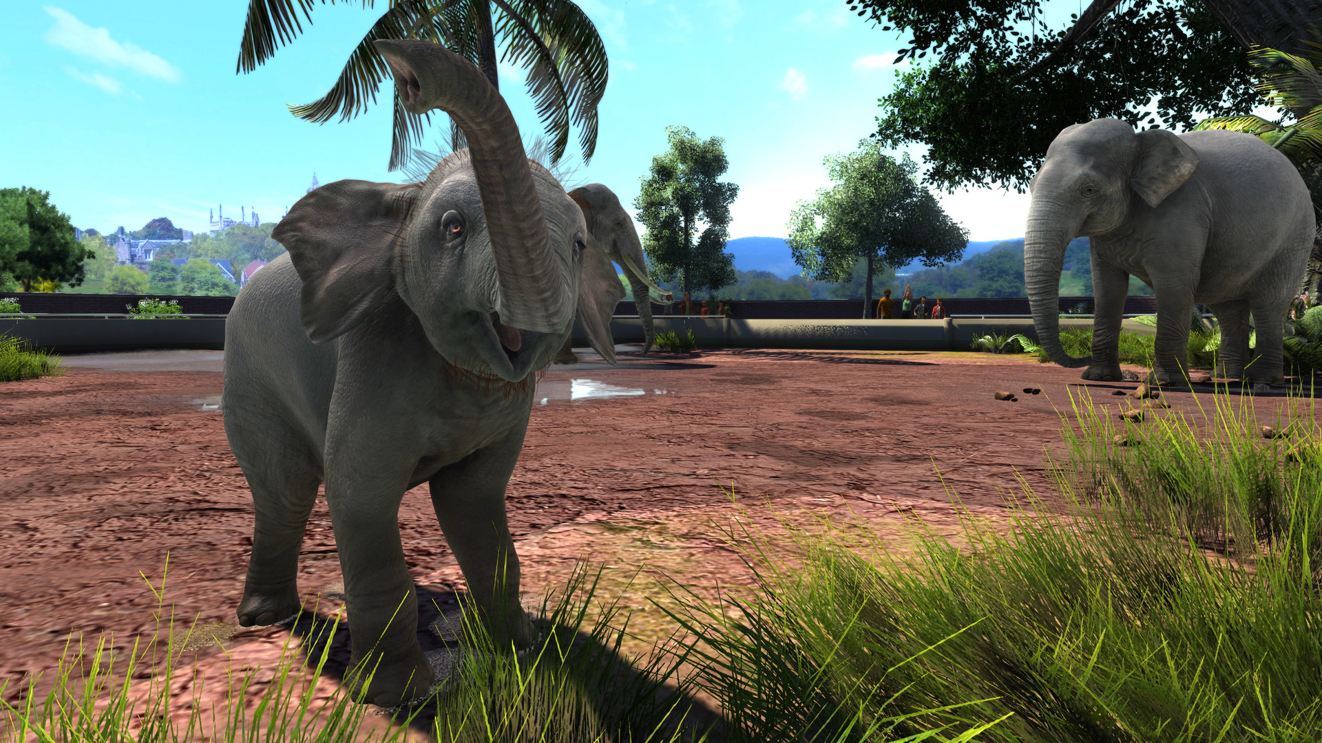 Sold Zoo Tycoon PC Game