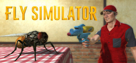 Fly Simulator Cover Image