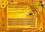Bee Aware! 2.0 UI shots 5