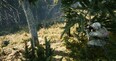 Screenshot #8