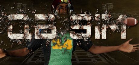 QB Sim Cover Image