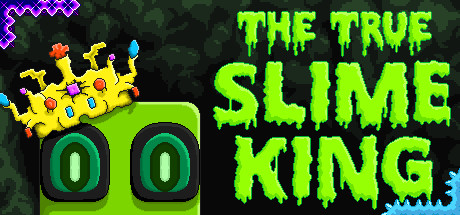 The True Slime King Cover Image