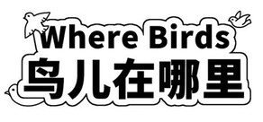 Where Birds 鸟儿在哪里