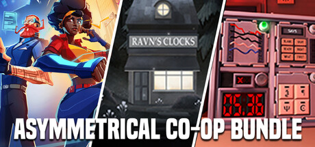 Asymmetrical Co-Op Bundle banner image