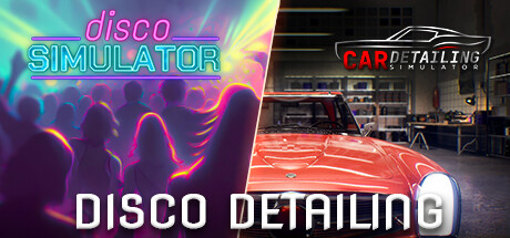 Disco Detailing banner image