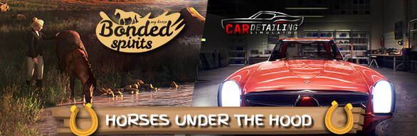 HORSES UNDER THE HOOD
