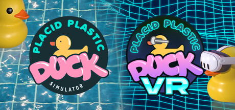 Original PPDS + VR banner image