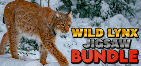 Wild Lynx Jigsaw Bundle banner image